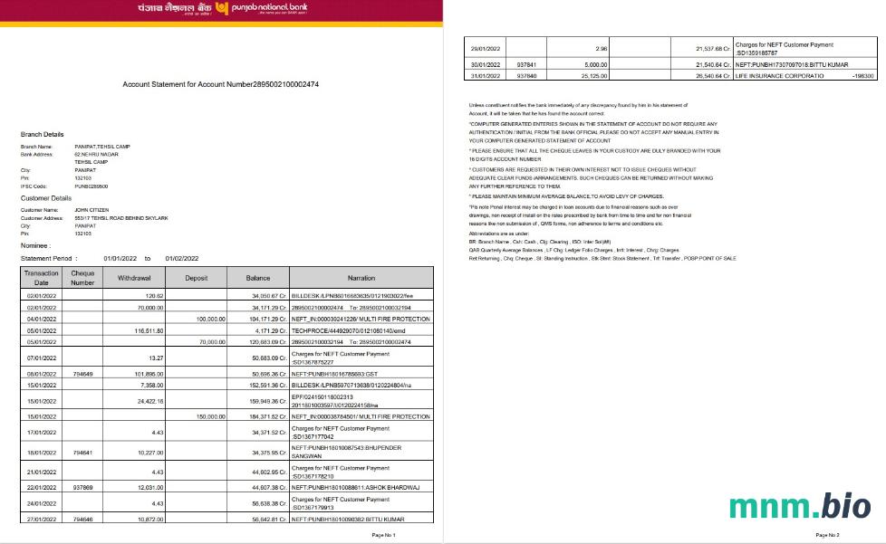Szablon wyciągu bankowego India Post Payments, format Word i PDF, 4 strony